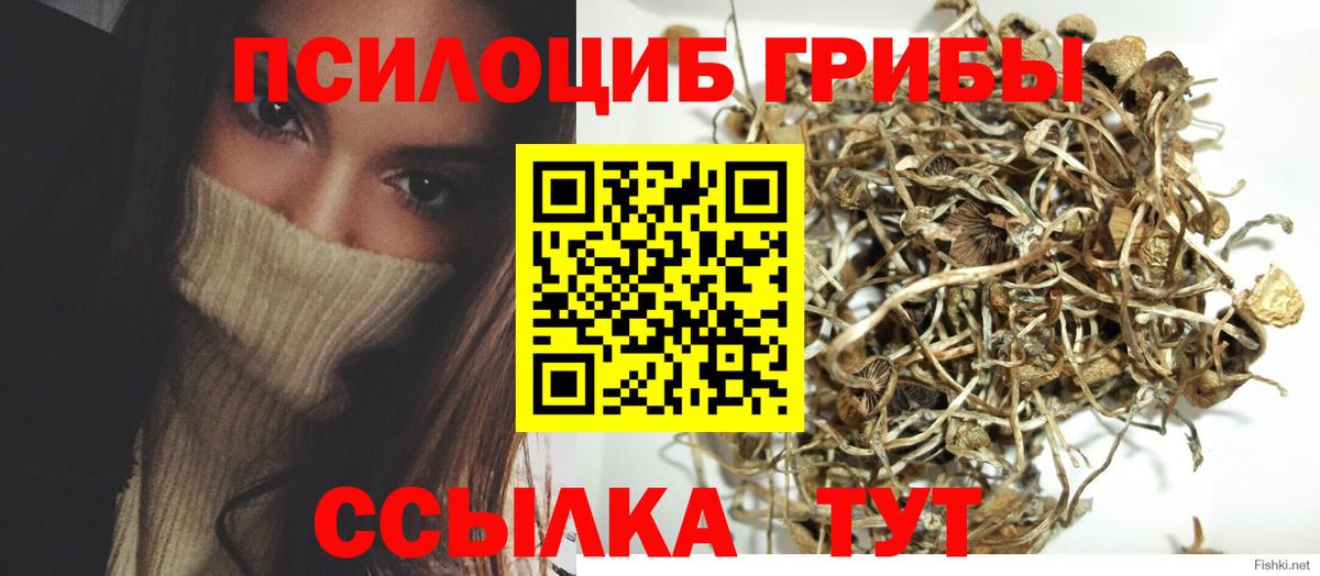 Псилоцибиновые грибы мухоморы  Вход с VPN  Галлюциногенные грибы Psilocybine cubensis  Красноармейск 